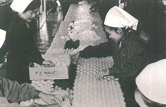 1960s