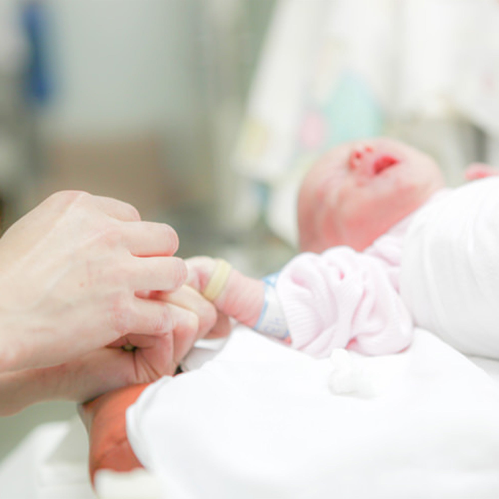 🌟 Celebrating World Premature Day with Pigeon: A Journey of Hope and Healing 🌟