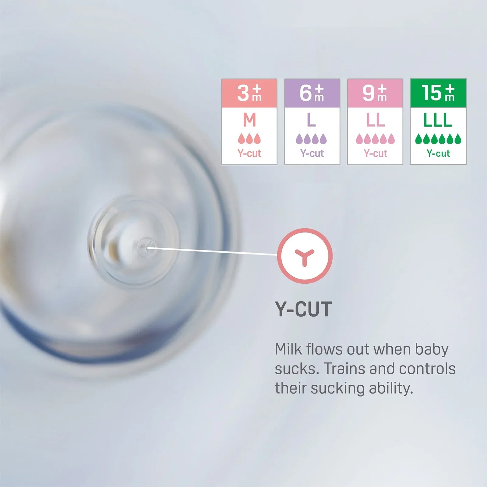 Wholesale Silicone Nipple (L), 6+ Months